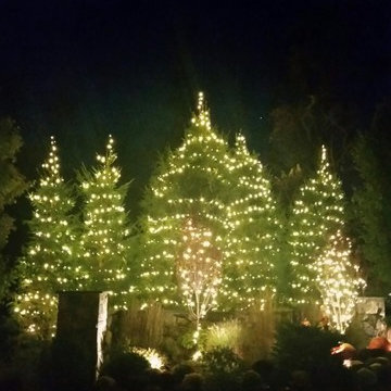 Commercial Holiday Lighting 2016