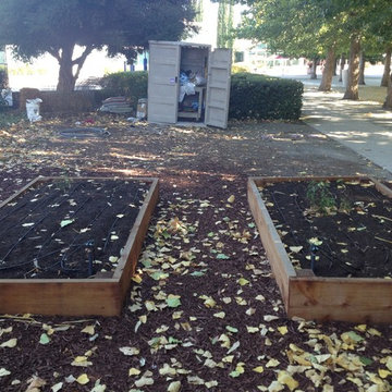 ebay, inc. Corporate Vegetable Garden Installation & Employee Garden Education