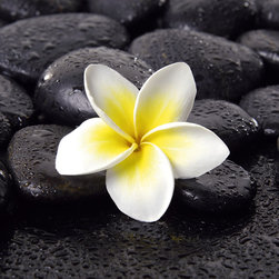 Platin Art's Deco Glass Wall Decor- Jasmine Fragrance - Wallpaper