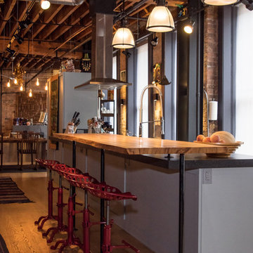 Printers Row Loft Interior Renovation