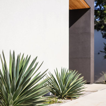Lago Vista Modern