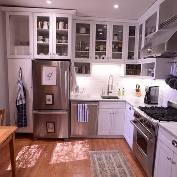 Lincoln Park Kitchen Update