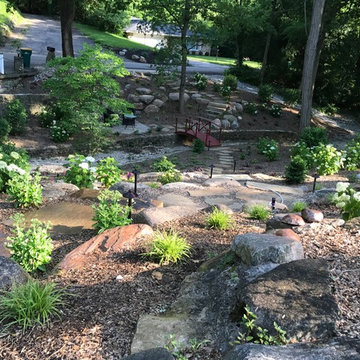 front ravine landscape