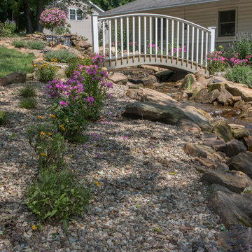 Woodland Stream & Pond