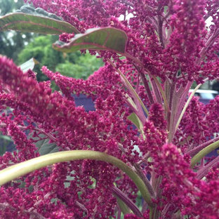 Eklektischer Garten in New Orleans
