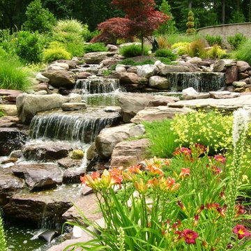 Waterfalls and Koi Ponds at Annapolis Residence