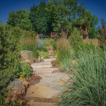 Colorado Natural Landscape