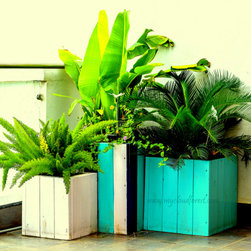 Plants and Pots - Plant Pots & Planters
