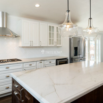 Complete Kitchen Remodel by Treeium Inc.