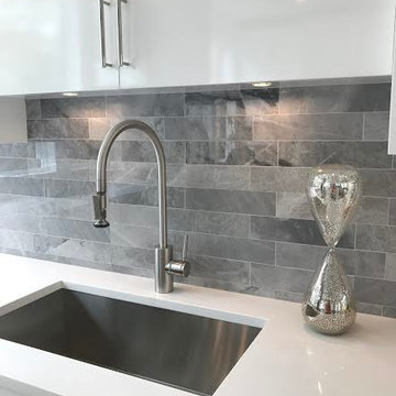 Contemporary Bathroom and Living Room Remodel