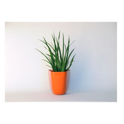 Domino Planter - Products