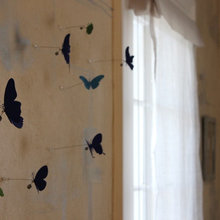 butterflies