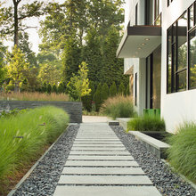 New House Landscape