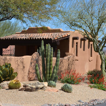 Southwestern Plants