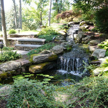 back yard greendale