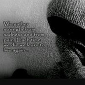 Foto von Missy Webster
