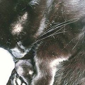 Sharon Hardwick's photo