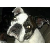 Jennifer Legg's photo
