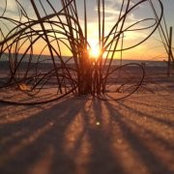 Jeff Tiptons foto