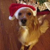 Amanda Close's photo
