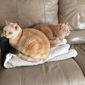 Alex Scoble's photo