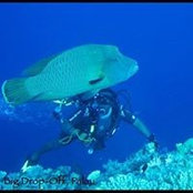 Richard Servance's photo