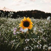 Amanda Rasool's photo