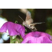 Dora Georgiadou's photo