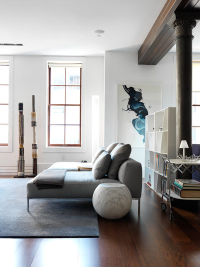 Contemporary Living Room by Nexus Designs