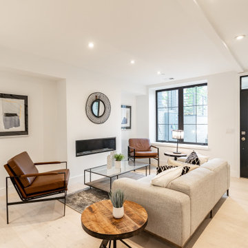 Southwest DC Duplex Renovation
