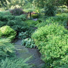 Garden - Paths