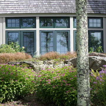 Turtleheads, Obedient Plant and Pennsylvania Sedge