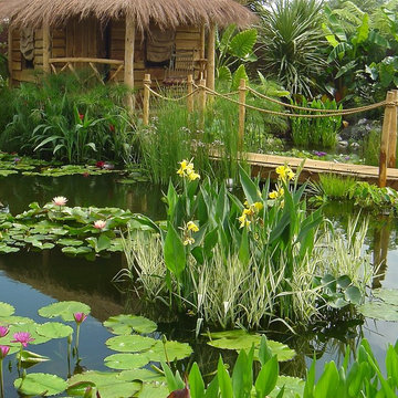 Tropical Pond