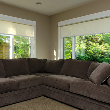 Residential windows