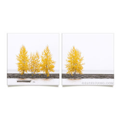 Tree Collection - Prints And Posters