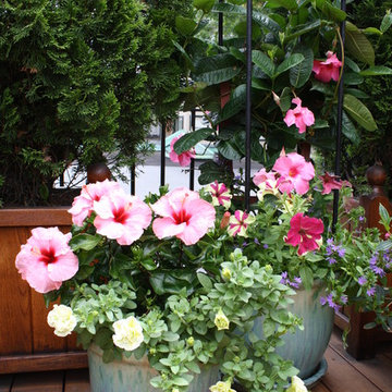 Wisteria & Rose roof deck designs. Visit www.wisteriaandrose.com for more info!