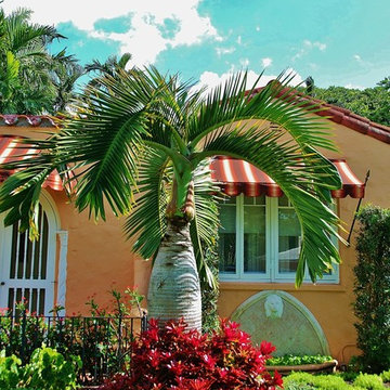 Tropical Landscape Design