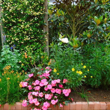 Miscellaneous Garden Gems