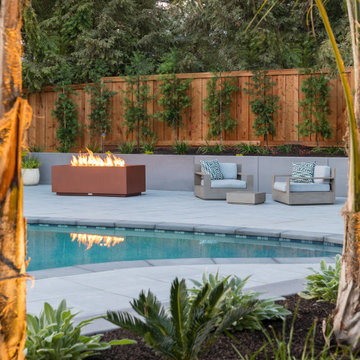 Zen Pool Garden