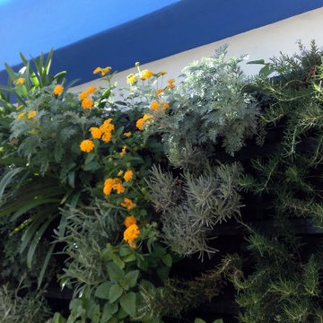 Jardin Vertical con Substrato. Sistema modular Atlantis.