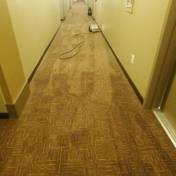 Stata Hallway Carpet Cleaning Encapsulation Cleaning Counter Rotating Brushes Sp