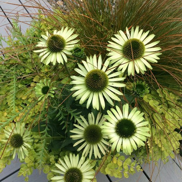 Custom planters