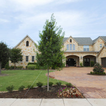 Evergreen Trees & Shrubs