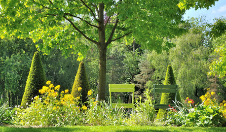 Ein schöner Garten, das ganze Jahr lang – mit diesen 21 Pflanzideen