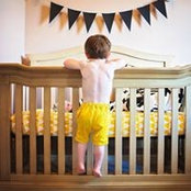 Pamela Naylor Johnson's photo