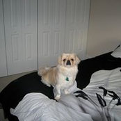 Connie Wills Cassady's photo