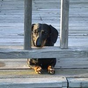 Nancy Ryan's photo