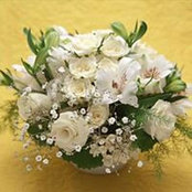 Rodaina Hawari's photo