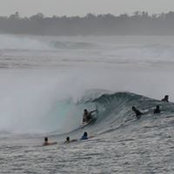 Dan Cunningham's photo