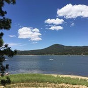 Sandy Hubbard's photo